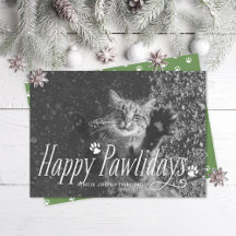Cat Lycklig Pawlidays Pet