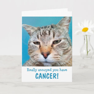 Cat Mad at Cancer Funny Kort