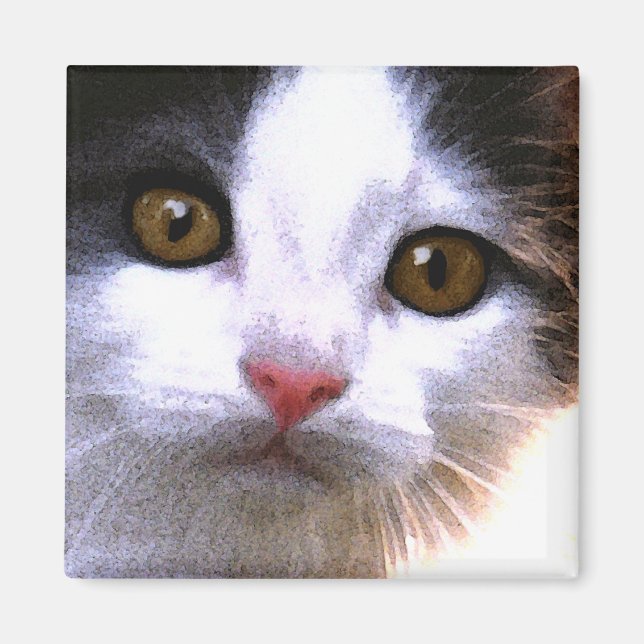 Cat Magnet (Framsidan)