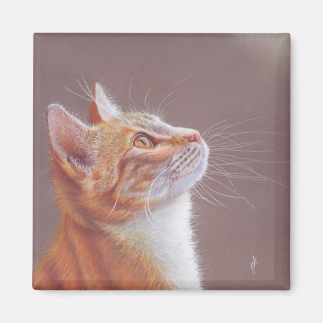 Cat  magnet (Framsidan)