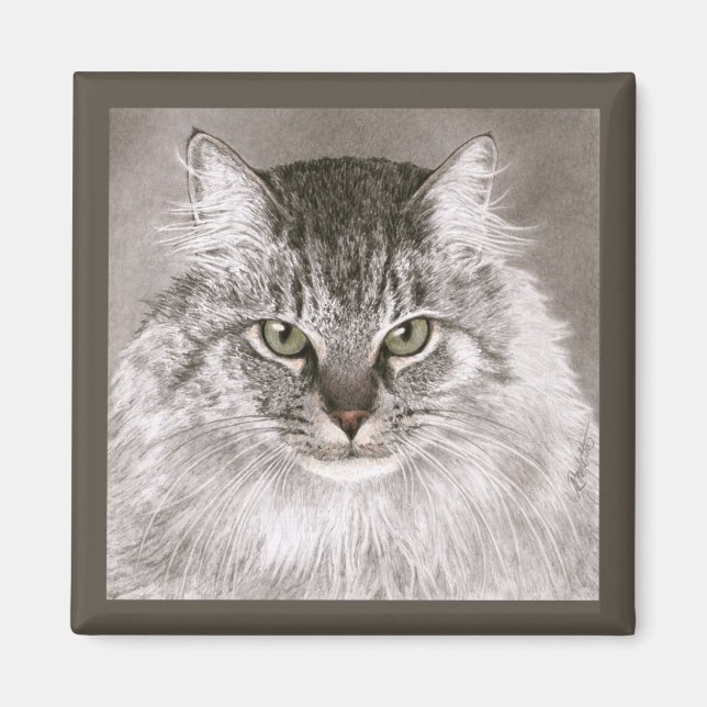 Cat Magnet - "Merlin" (Framsidan)
