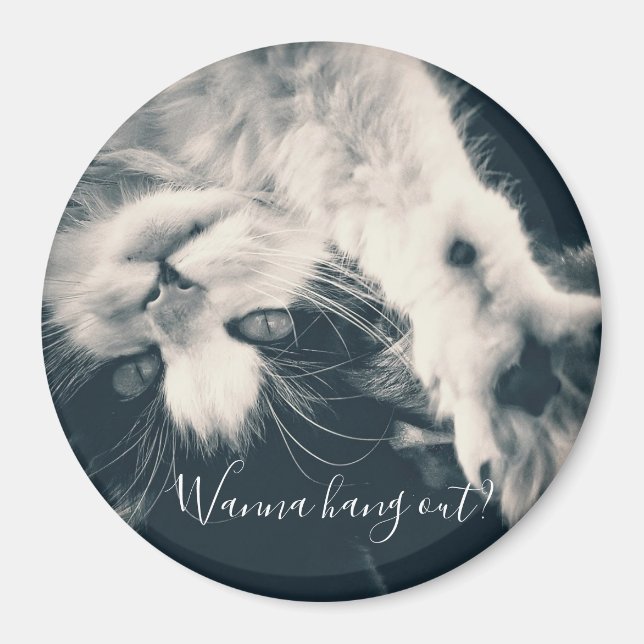 Cat Magnet, vill du hänga ut? Magnet (Framsidan)
