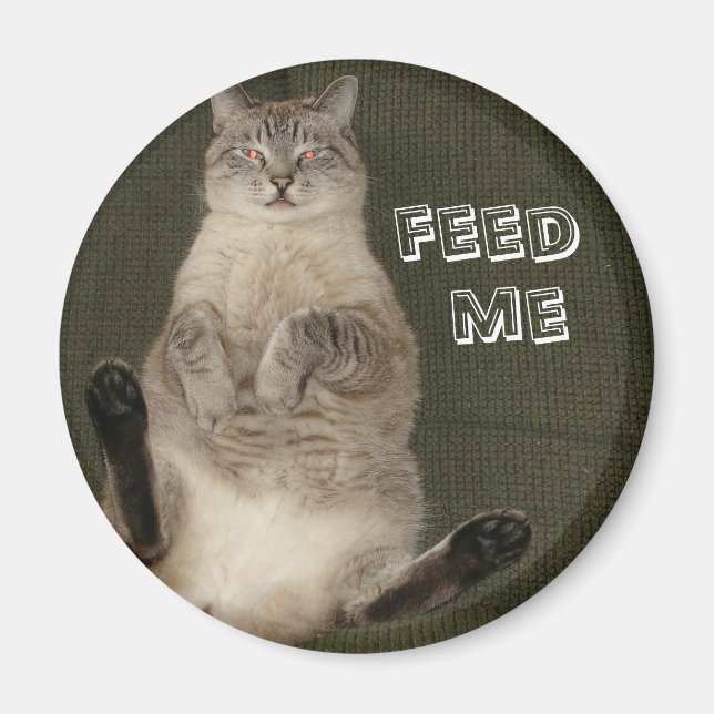 Cat "MATA ME" Runda magnet (Framsidan)
