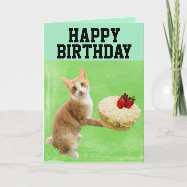 CAT MED BIRTHDAY CAKE BIG GREETARD KORT (Framsida)