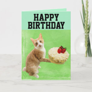 CAT MED BIRTHDAY CAKE BIG GREETARD KORT