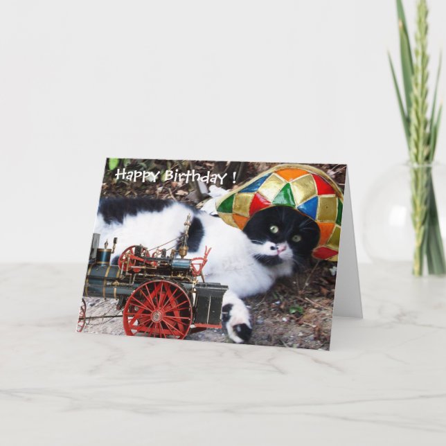 CAT MED HARLEQUIN HAT Grattis på födelsedagen Kort (Framsida)