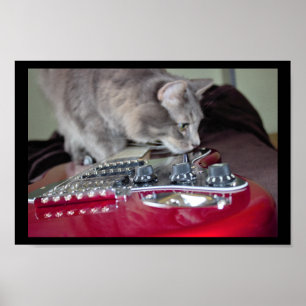 Cat med Red Electric Guitar Poster
