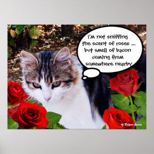 CAT MED RÖD ROS POSTER