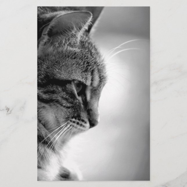 Cat Meditating Black and White Brevpapper (Framsida)