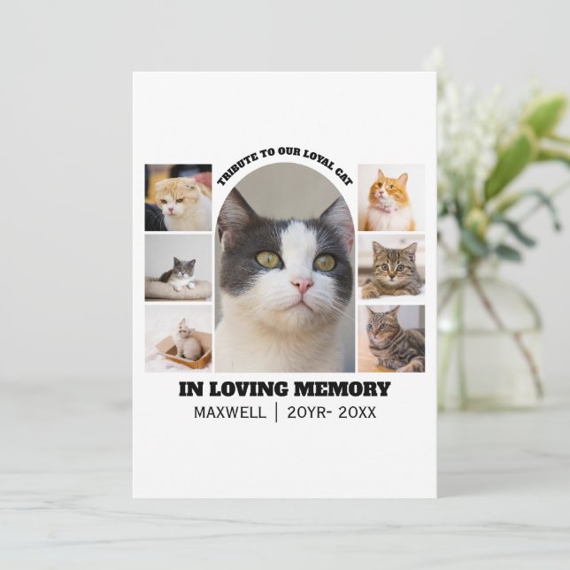 Cat Memorial 7 Photo Collage Pet Tribute Template (Stående Fram)