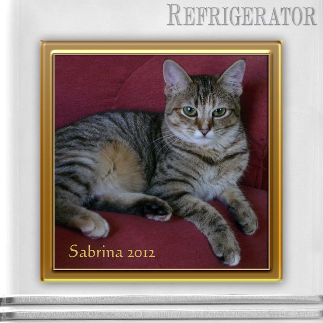 Cat Memorial Photo Ram Magnet (Keepsake photo frame magnet for a picture of your own choice - nice as cat memorial magnet)