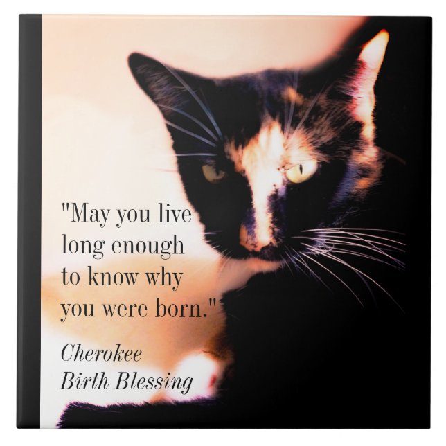 Cat Messenger Kakelplatta (Framsidan)