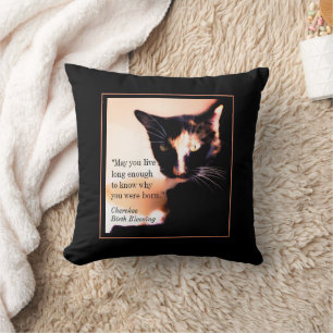 Cat Messenger Kudde