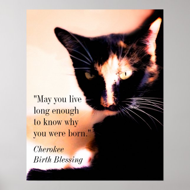 Cat Messenger Poster (Framsidan)