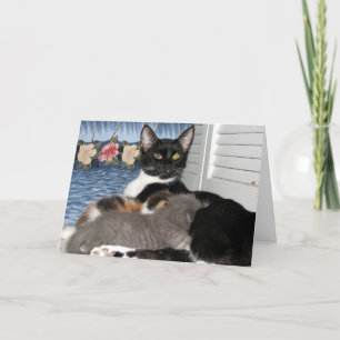 Cat Momma's Kärlek tackkort