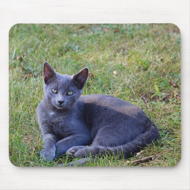 Cat Mouse Pad Musmatta (Framsidan)