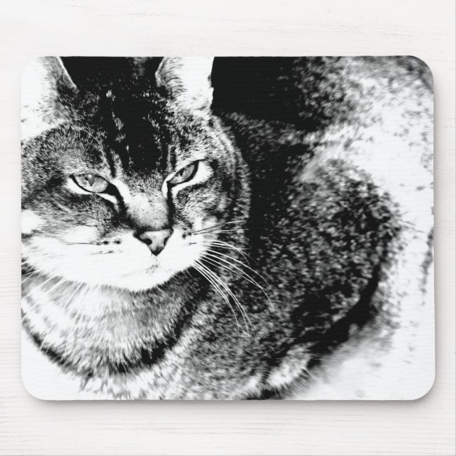 Cat Mousepad Musmatta (Framsidan)