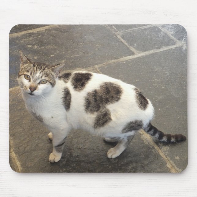 Cat mousepad musmatta (Framsidan)