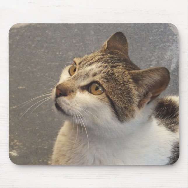 Cat mousepad musmatta (Framsidan)