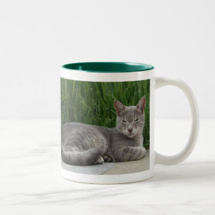 Cat Mugg