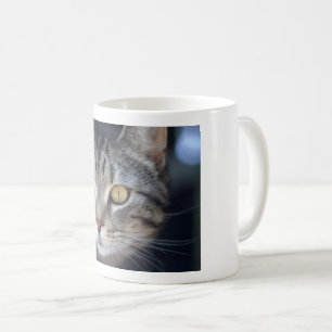 cat mugg