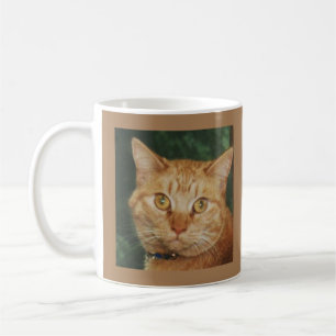 Cat Mugg Eat Purr Kärlek
