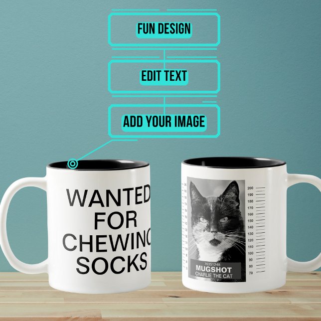 Cat Mugg Shot Mugg (Do you have a cat who has a certain reputation? Here is the perfect funny gift for them.)