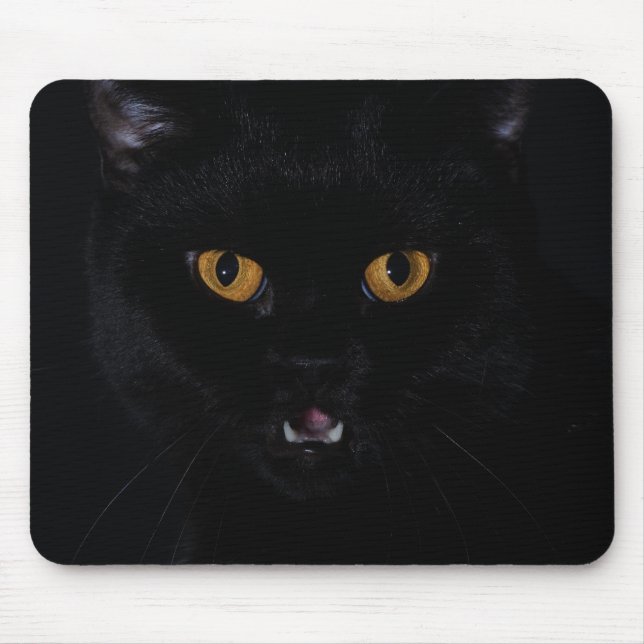 Cat Musmatta (Framsidan)