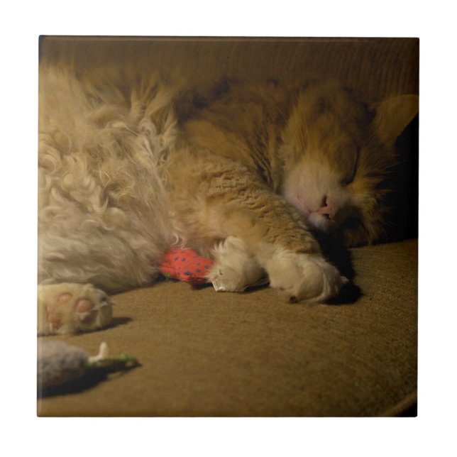 Cat Nap Kakelplatta (Framsidan)