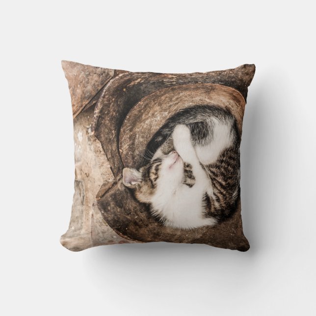 Cat Nap Kudde (Framsida)