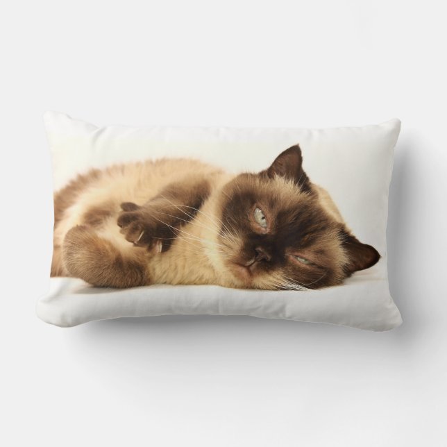 Cat Nap Lumbarkudde (Framsida)