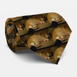 Cat Nap Slips