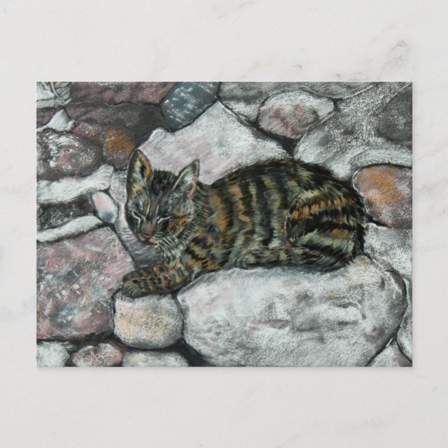 Cat Nap Vykort (Framsida)