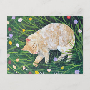 Cat Nap Vykort