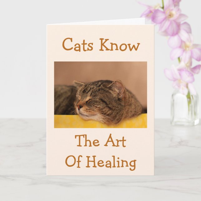Cat Nap Wisdom Get well Card Kort (Orkide)