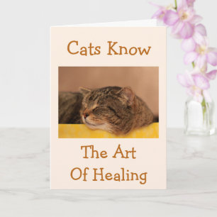 Cat Nap Wisdom Get well Card Kort