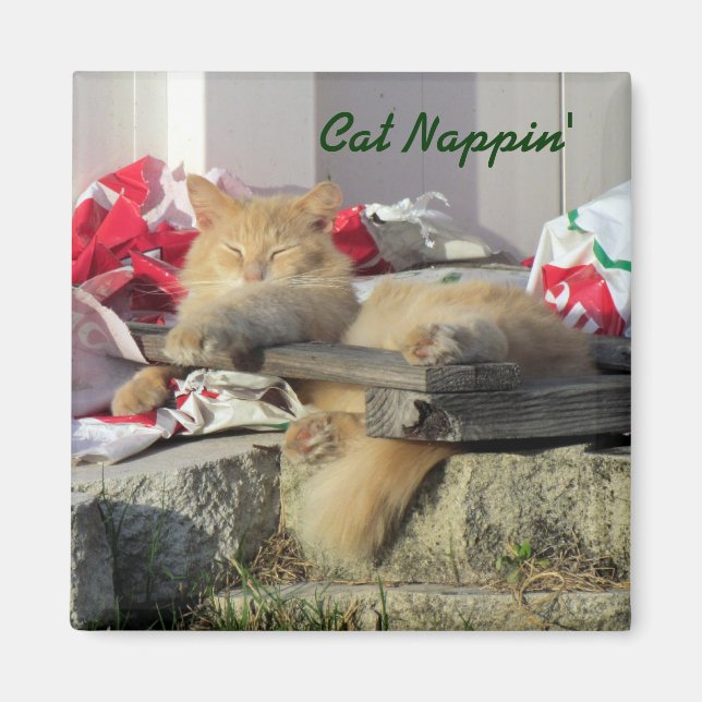 Cat Nappin' Magnet (Framsidan)