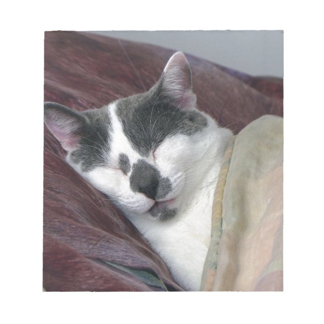 Cat Napping Anteckningsblock (Framsida)
