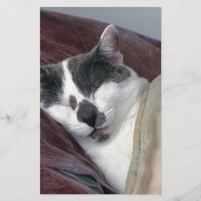 Cat Napping Brevpapper (Framsida)