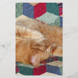 Cat Napping Brevpapper