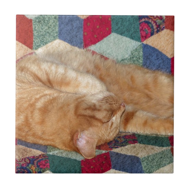 Cat Napping Kakelplatta (Framsidan)