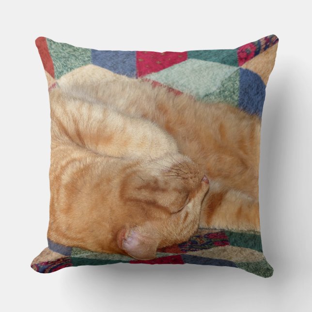 Cat Napping Kudde (Framsida)