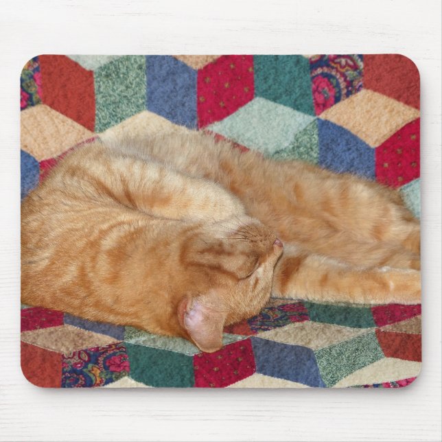 Cat Napping Musmatta (Framsidan)