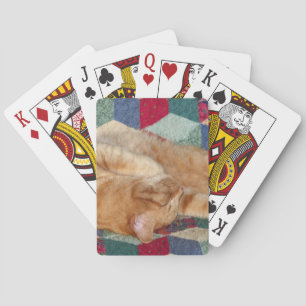 Cat Napping Spel Kort