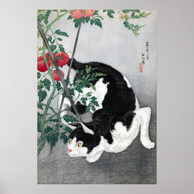 Cat och Tomato, Takahashi Shotei Poster (Framsidan)
