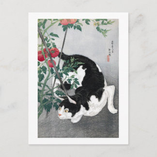Cat och Tomato, Takahashi Shotei Vykort