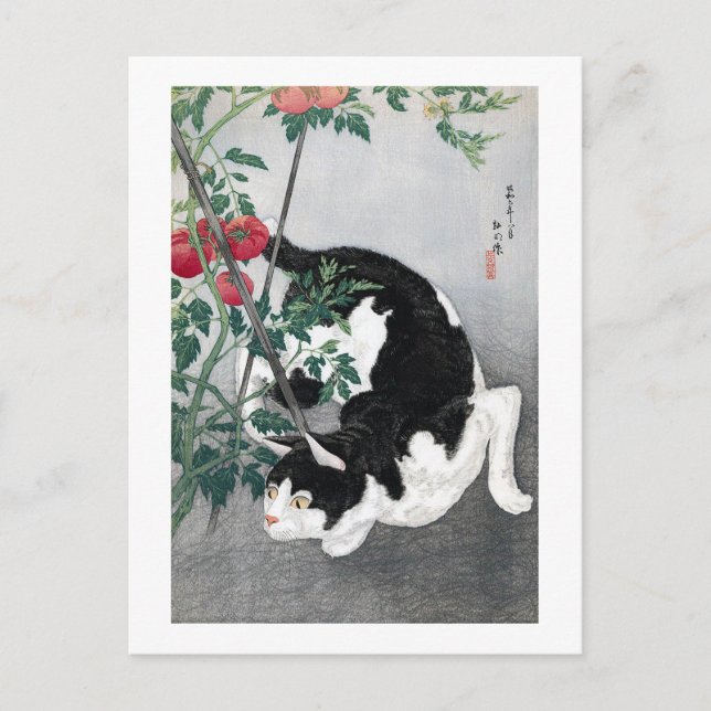 Cat och Tomato, Takahashi Shotei Vykort (Framsida)
