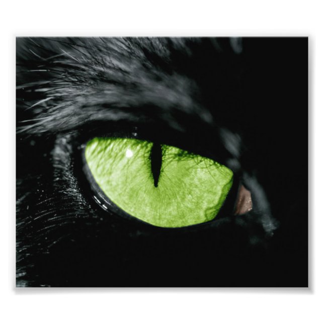 Cat öga fototryck (Framsidan)