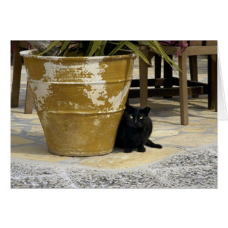 Cat öga hälsningskort