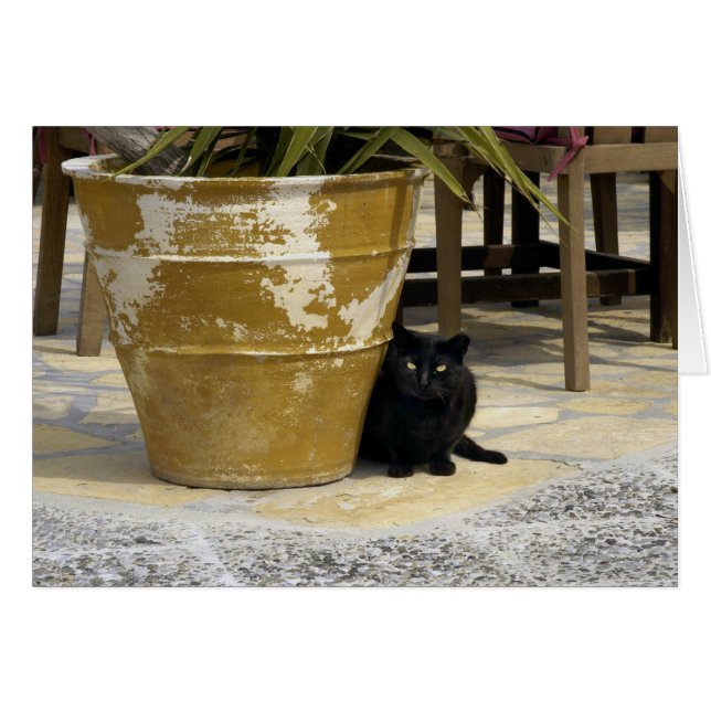 Cat öga hälsningskort (Framsidan Horizontal)